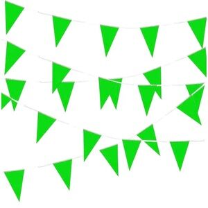 Green Party Pennant Flags - NIP